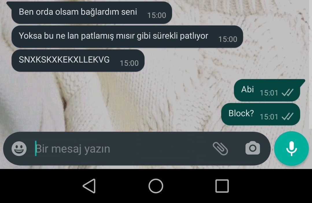 Siz arkadaş mısınız amlar?