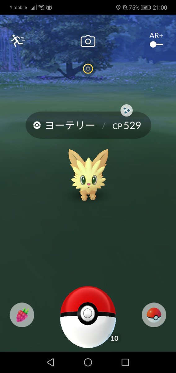 ポケモンgo ヨーテリーの色違い 入手方法と実装状況 攻略大百科