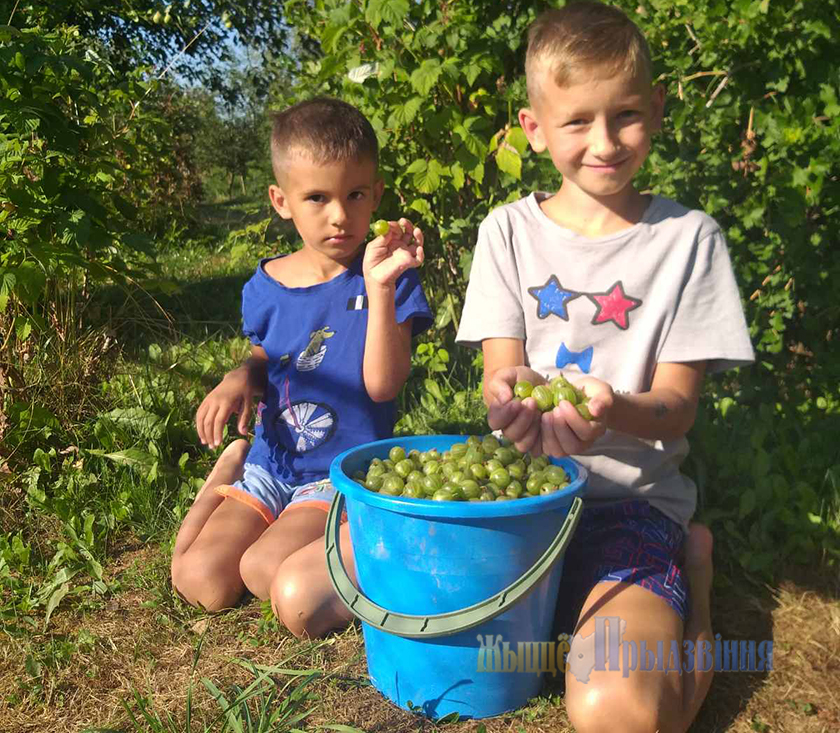 pridvinje's tweet photo. Куда деть излишки сельскохозяйственной продукции

Подробности тут: https://t.co/AYboD99LhK https://t.co/7MmetttxLq
