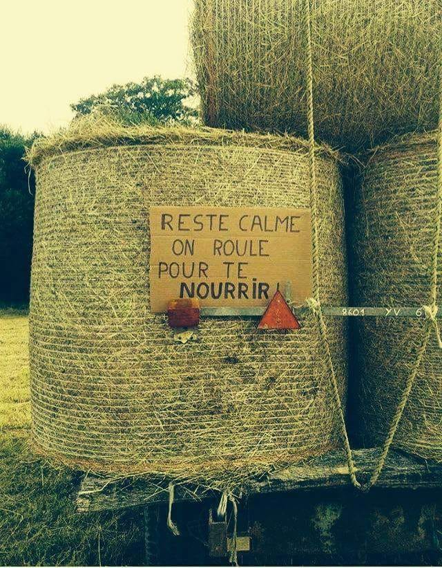 La majorité des automobilistes pestent après les agriculteurs sur les routes et pourtant, s'ils sont là, c'est notamment pour nous nourrir ! Ne l'oubliez pas !
#jaimelespaysans #paysan #ruralité #rural #milieurural #agriculteur #agricultrice