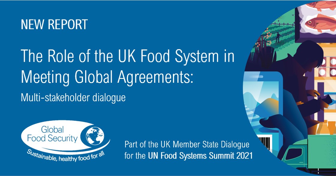 This image is a twitter card that reads:

New report.
The role of the UK food system in meeting global agreements: 
Multi-stakeholder dialogue.
Part of the UK Member State Dialogue for the UN Food Systems Summit 2021.

On the left is the logo for the Global Food Security programme which reads: Global Food Security. Sustainable, healthy food for all.

On the right is a collage of images, including a person looking into their wallet, a hand scrolling on a smartphone, a lorry, a farmer working in a field, and a fish.