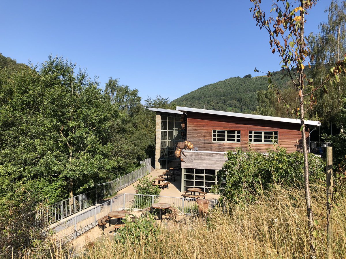 Michael Enea tweet media