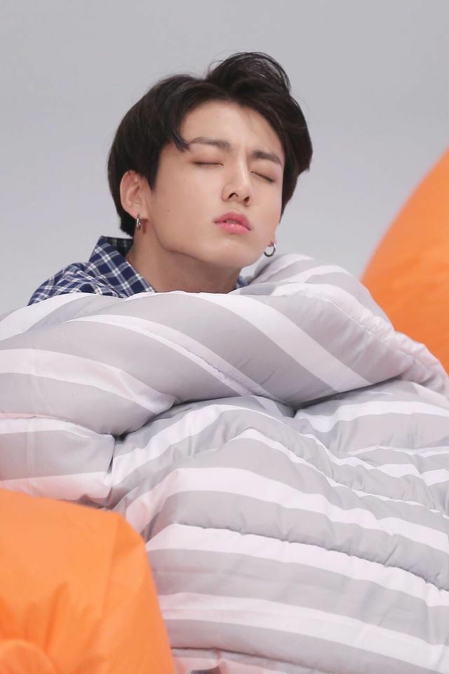 Santa_0104_'s tweet photo. Sleep beauty feat jungkook ~ a thread https://t.co/b7Mw4rgqL3