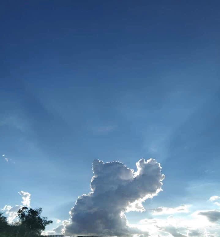 มังคุดเหมียว😻