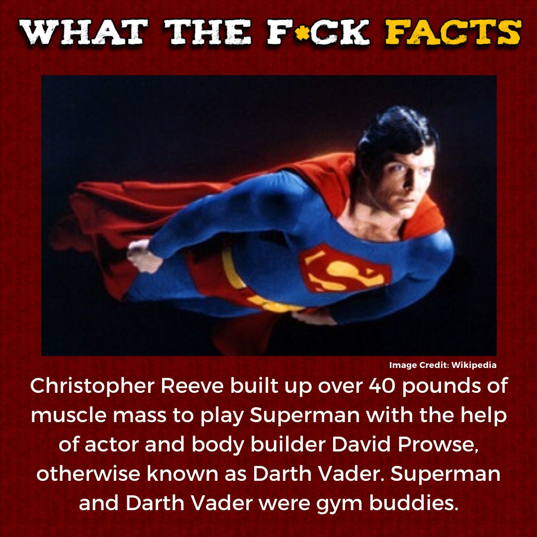 What The F*** Facts (@whattheffacts) on Twitter photo 
