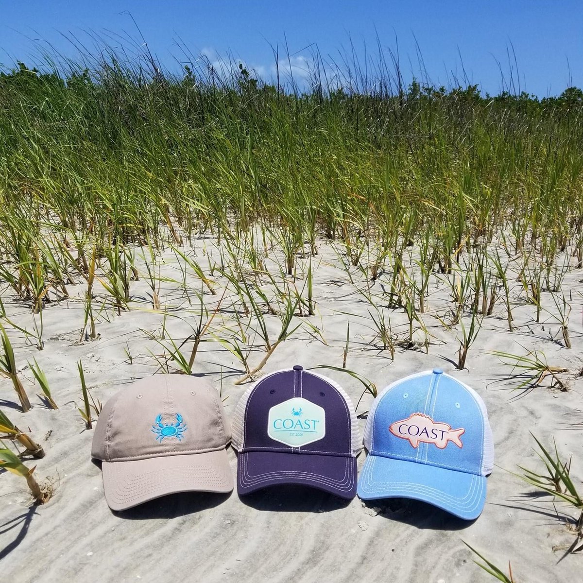 Our apologies, but we decided to cancel Monday. We’re hanging our hats on the Coast for one more day. 

#CoastBound #DontStressJustCoast #CoastIsClear🦀