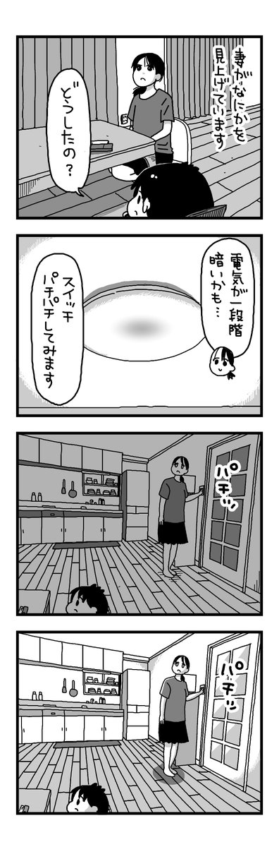 日記マンガ『電気パチパチしてるうちに混乱妻』 