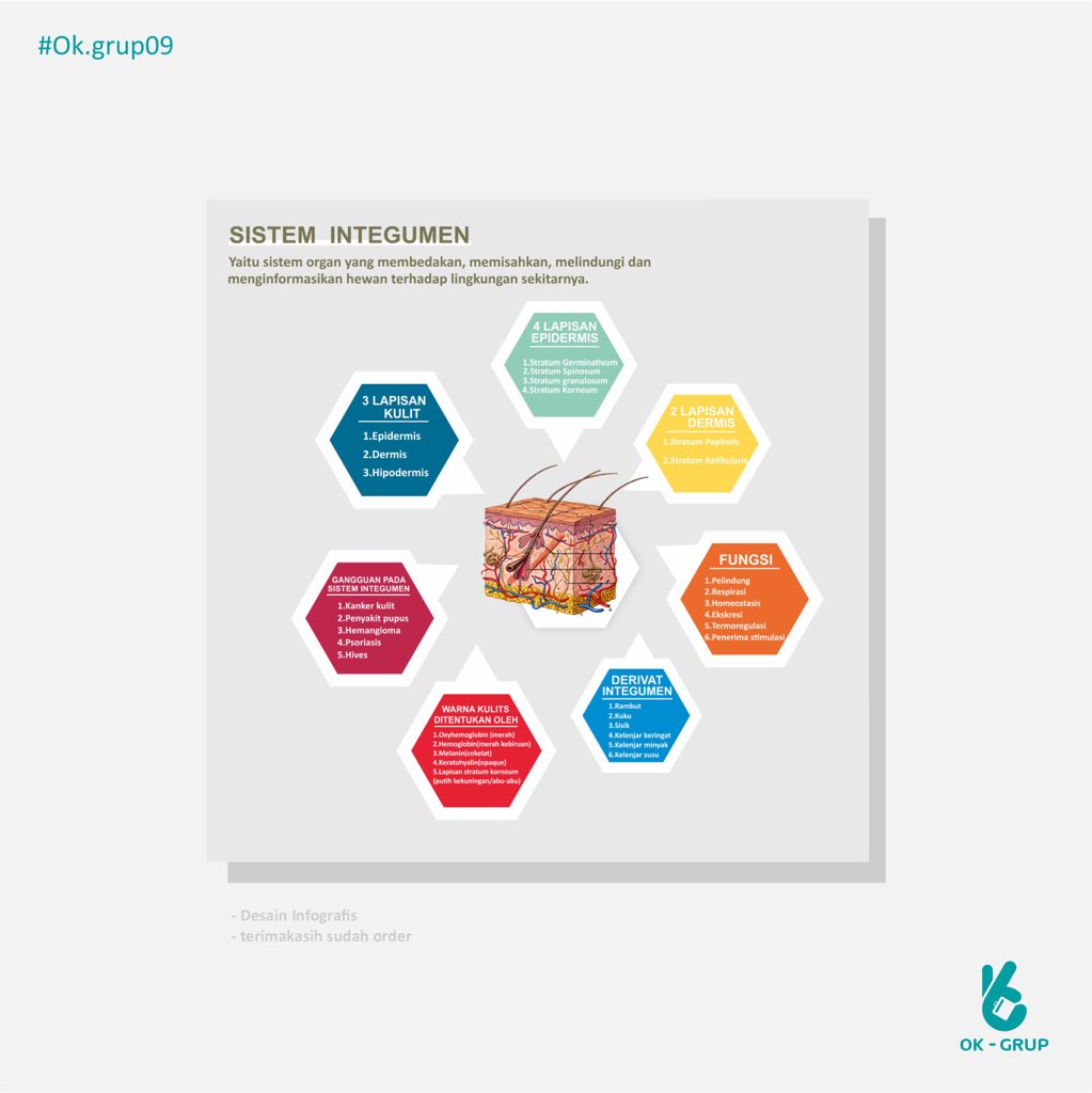 ok_grup's tweet photo. Halo teman teman.

pengen buat poster menarik untuk tugas yang guru/dosen Anda berikan?

ok.grup siap melayani Anda!

#desainposter #desainpamflet #poster #posterdesign #paindesign #designpamflet #poster #posterkeren #jasadesain #jasadesainposter https://t.co/W8d7srhVAp