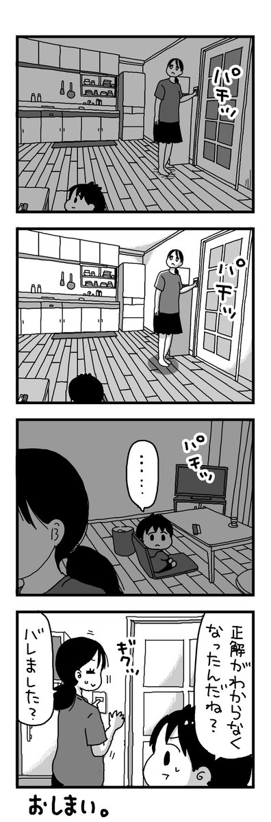 日記マンガ『電気パチパチしてるうちに混乱妻』 