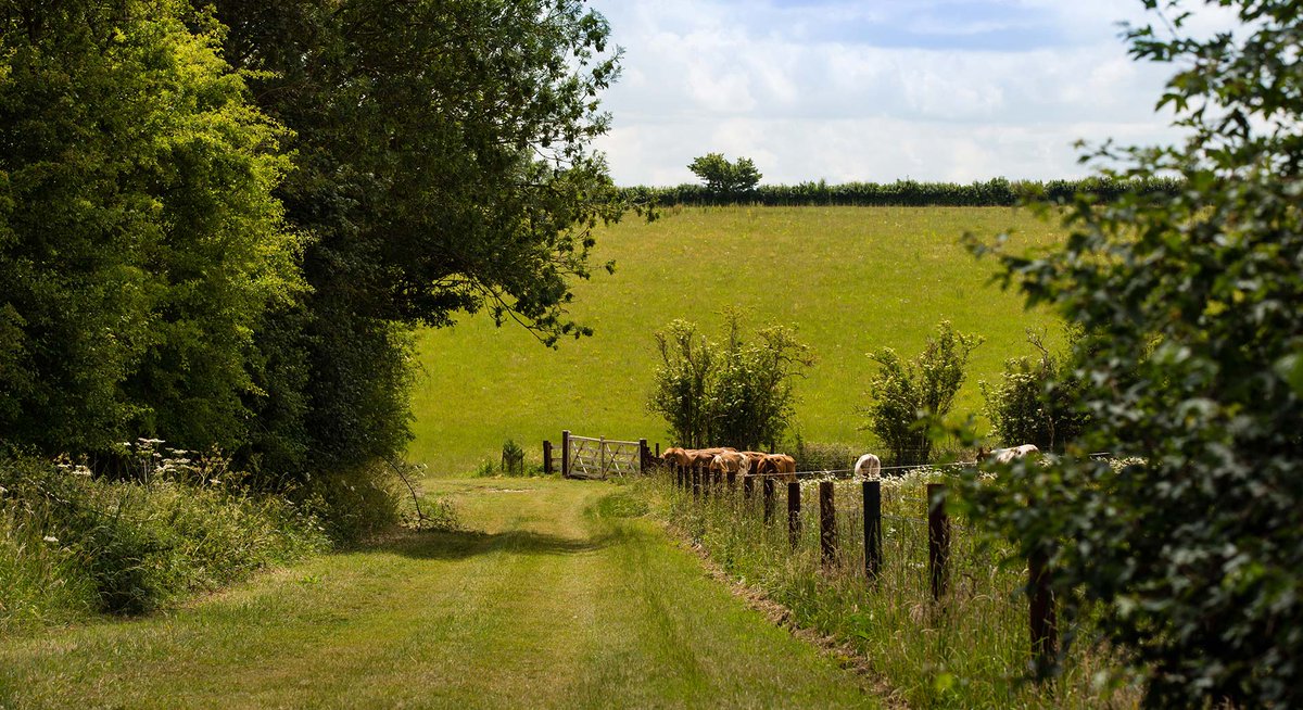 OrgResCent's tweet photo. ⏰The final count down...⏰One week left to enter our new #YOFY Award!
Are you, or do you know, a forward-thinking, innovative young organic farmer/ grower who is passionate about implementing organic principles?
If so, don't delay and enter now!👉https://t.co/omKqyV39hR https://t.co/pOkcUzc9cH