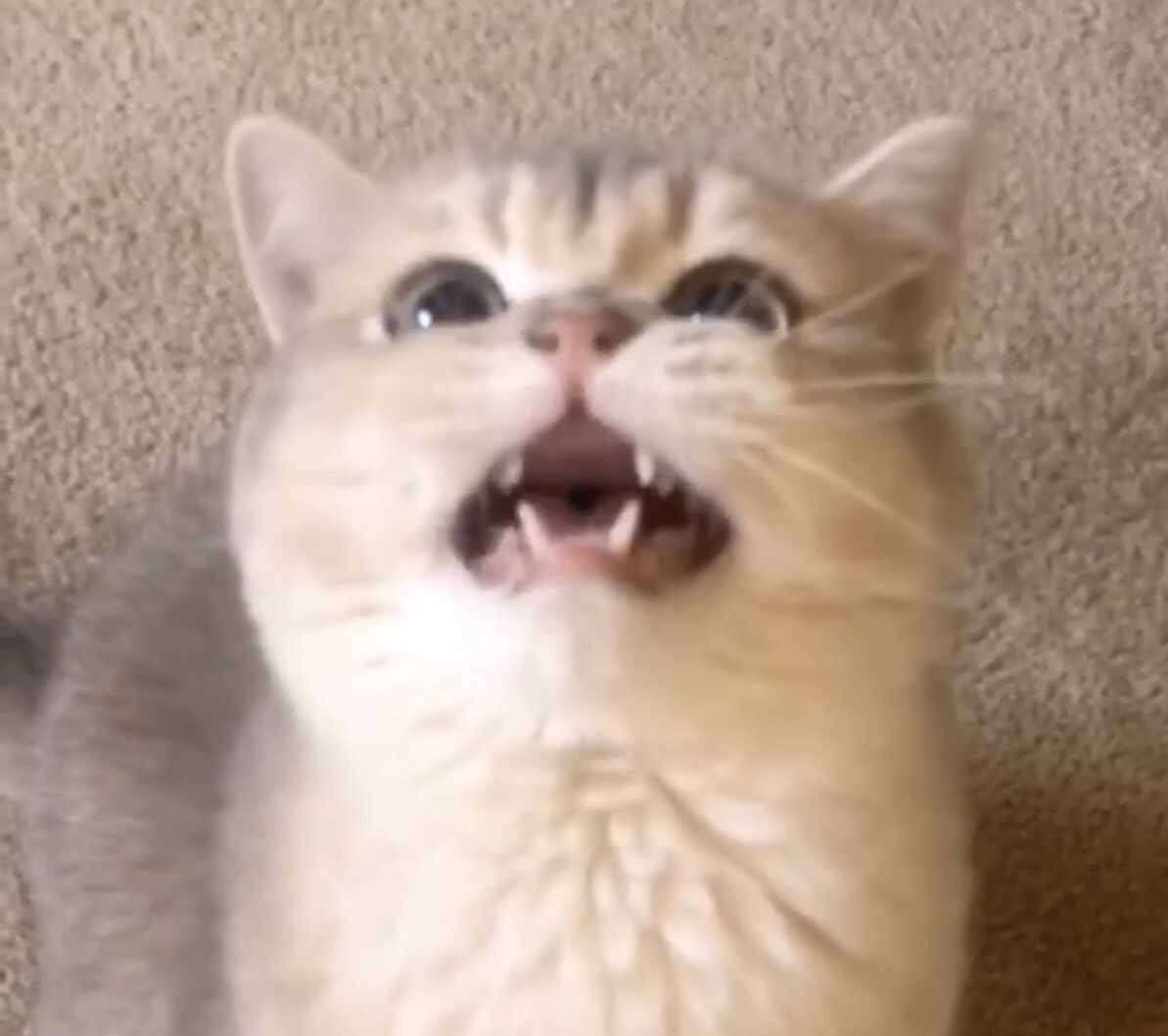 ตอนนี้พี่มั้นเล่นแอคไหน พี่มั้น พี่ม้านนนนนนนน ได้ยินหนูมั้ยยยยยย