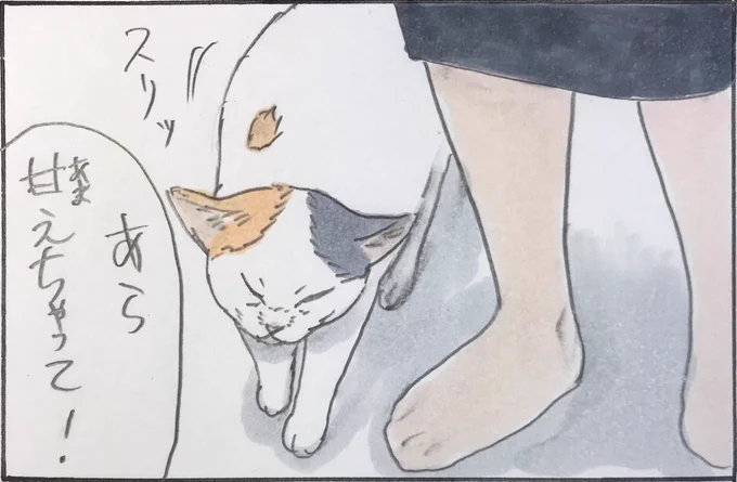 『いつものノリ』 