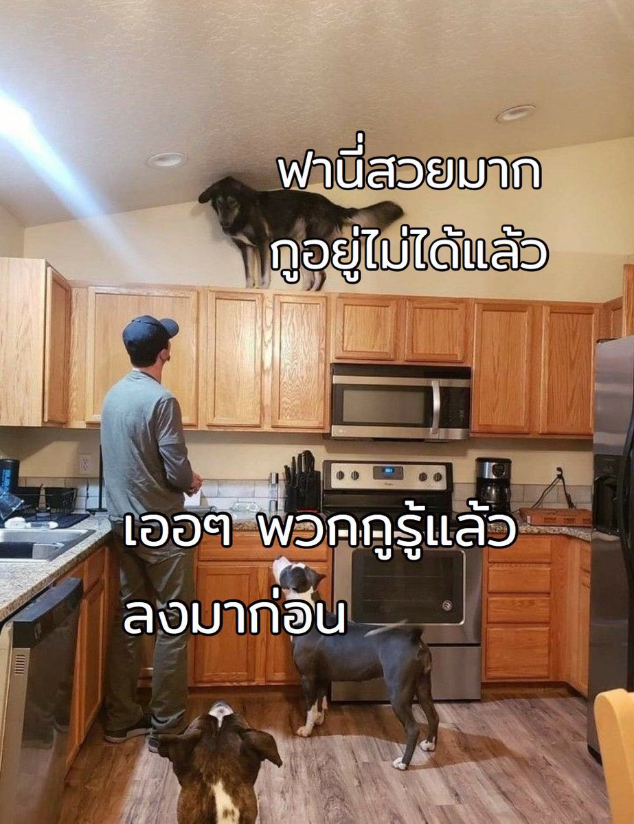 กุในทุกวัน