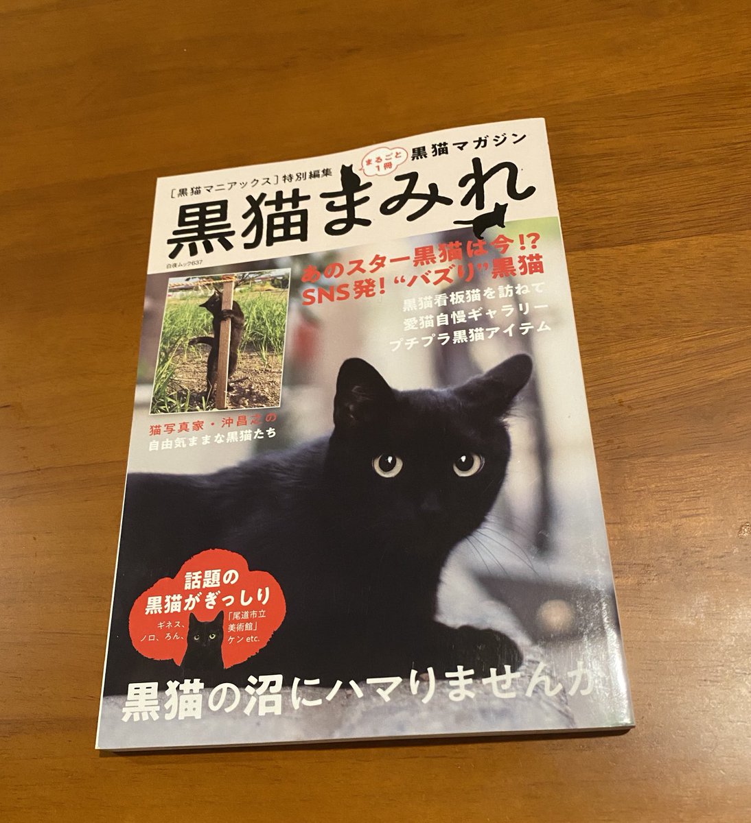 y_u_m_i_o__'s tweet image. 注文していた本が来た📓🐈‍⬛

体調が少し優れないので
回復したら読もうかな😊

#黒猫まみれ