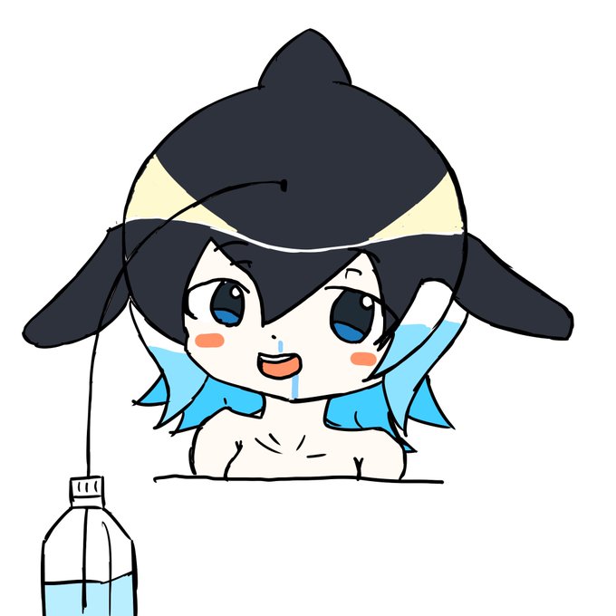 鼻うがいマイルカ 