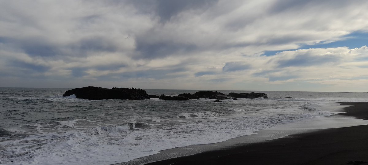 mauriciovali9's tweet photo. #Loanco, maravillosos paisajes costeros. Potencial desarrollo del #aviturismo. @marcelodechanco @EnLineaMaule @rutadelmaule @TVNRedMaule @maulealdiacl @trekkingchile @elmostrador https://t.co/xHwWkfNAyw