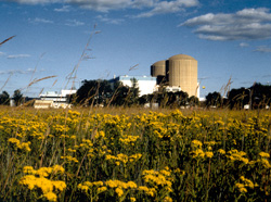A fish kill occurred at the Prairie Island #nuclear plant in #Minnesota on July 23 after a discharge water heatup due a loss of power to the cooling tower pumps. Also, Platts reports that the Monticello plant had to briefly reduce its power to 85% on July 22 due to hot weather. https://t.co/ZFOPqkcwxu
