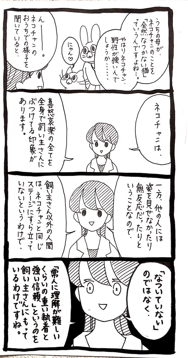 【ネコチャンと獣医さん】なつくということは 