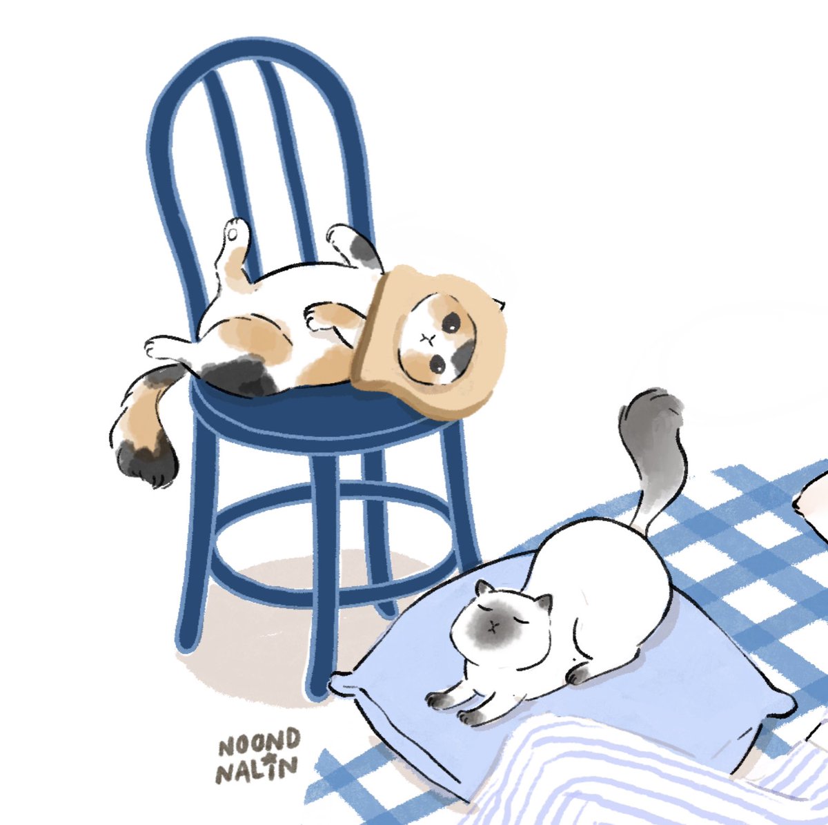 noond🥨 tweet media