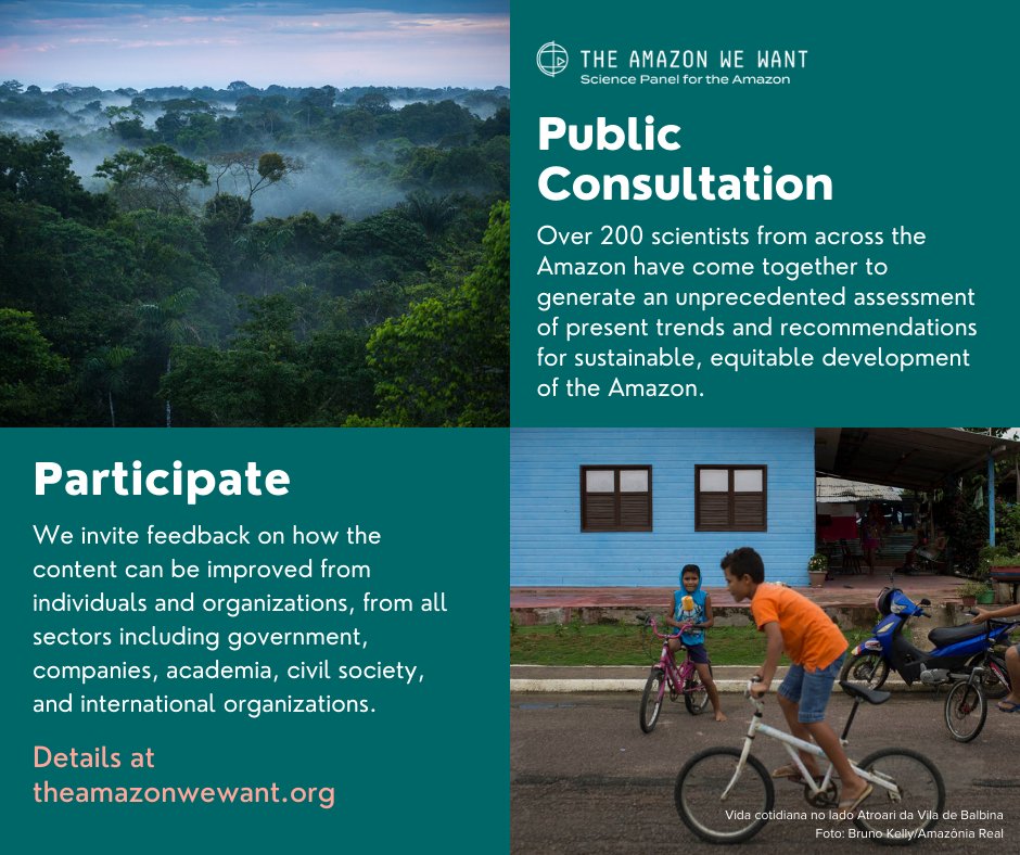 📝Draft chapters of the SPA report are available now for public consultation, tell us about the Amazon you want! ➡️ We welcome comments from #scientists, practitioners, & #government! @theamazonwewant bit.ly/SPA2021publicc… #amazonas