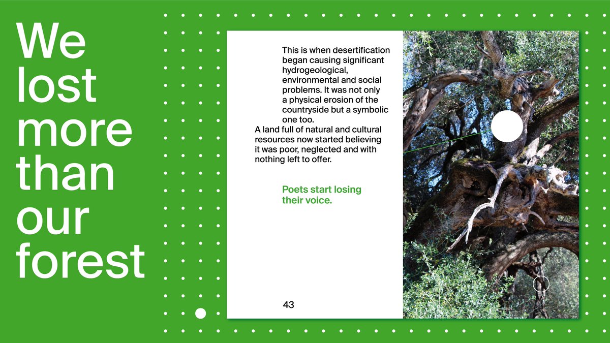 andrea meloni tweet media