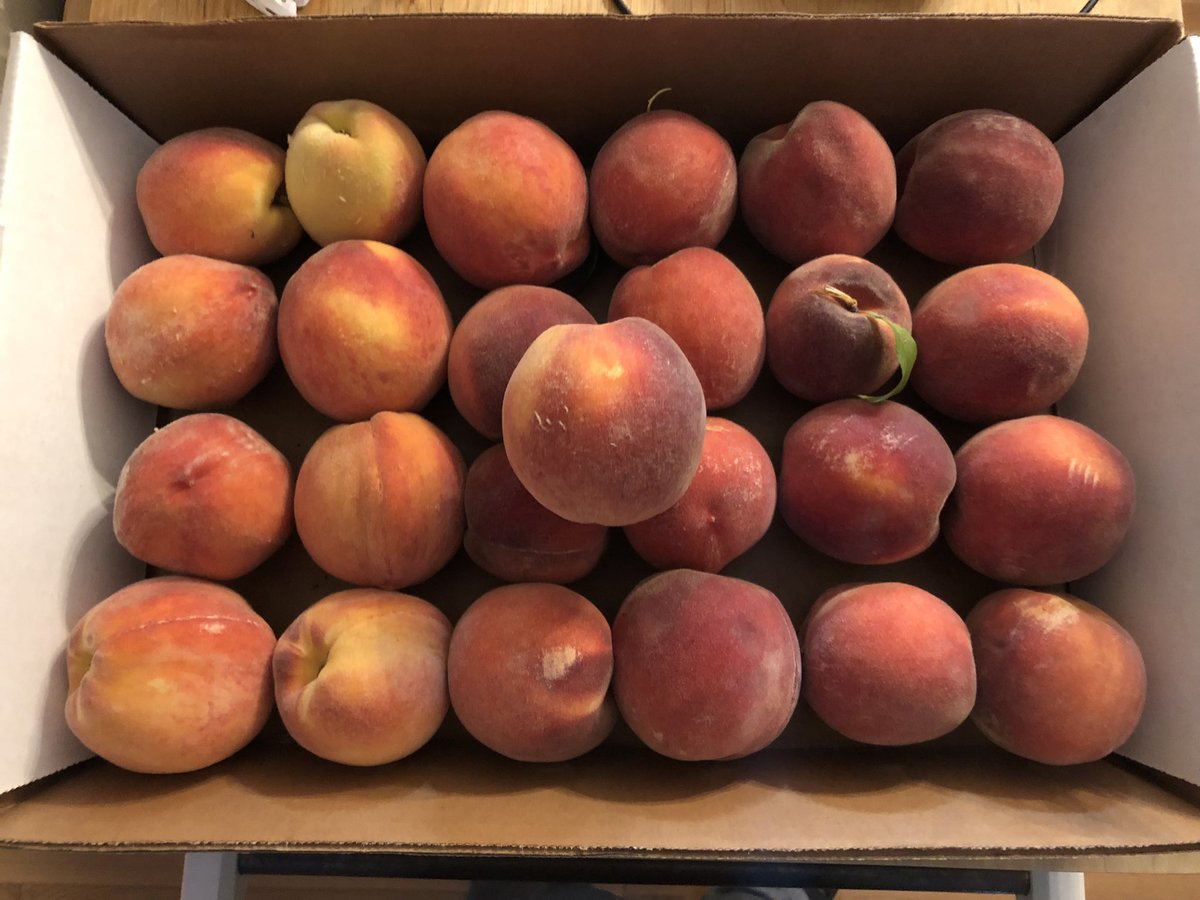 Went peach picking this weekend and all I can think about is the math problems! #arraychat <a href="/MathematicsFcps/">FCPSMathematics</a>