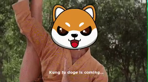 KungFuDoge's tweet photo. 1000X https://t.co/KucFITATJE