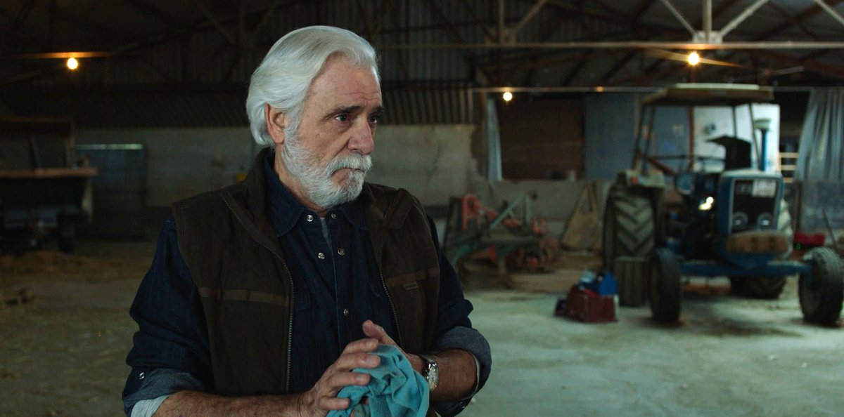 D'avis i àvies, n'hi ha de tota mena... Avui és el seu dia i els homenatgem recordant alguns personatges de TV3. En trobes a faltar cap?
#DiaDelsAvisiÀvies