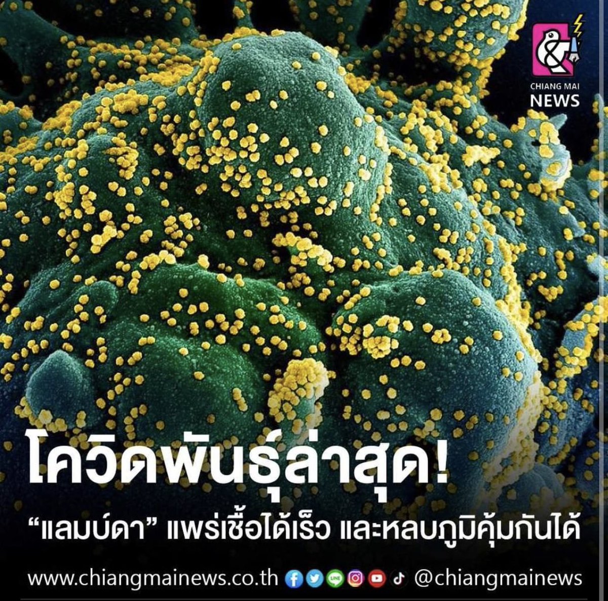 gogochandler's tweet photo. คือมึงจะเอาไง https://t.co/yd0vvzCff3