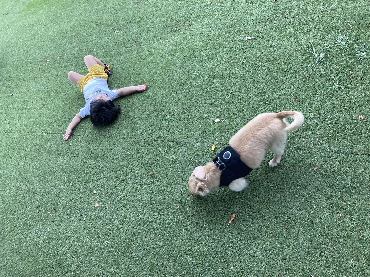 Riiiraaa0915's tweet photo. 娘の成長早すぎて
ついてけない🥺🥺🥺 https://t.co/l7iBt4gPSD