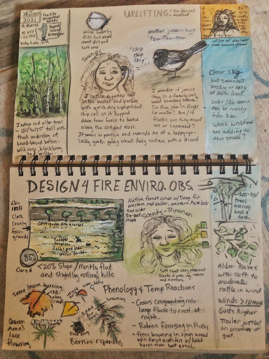 mhmorrill's tweet photo. Experimenting with a #naturejournal page design to help me remember to capture #fireenvironment metadata and engage senses. Want sense of temp, wind and moisture, a space for high, middle and low clouds, Beaufort wind scale and veg structure and conditions. https://t.co/PZQwdl9QEV