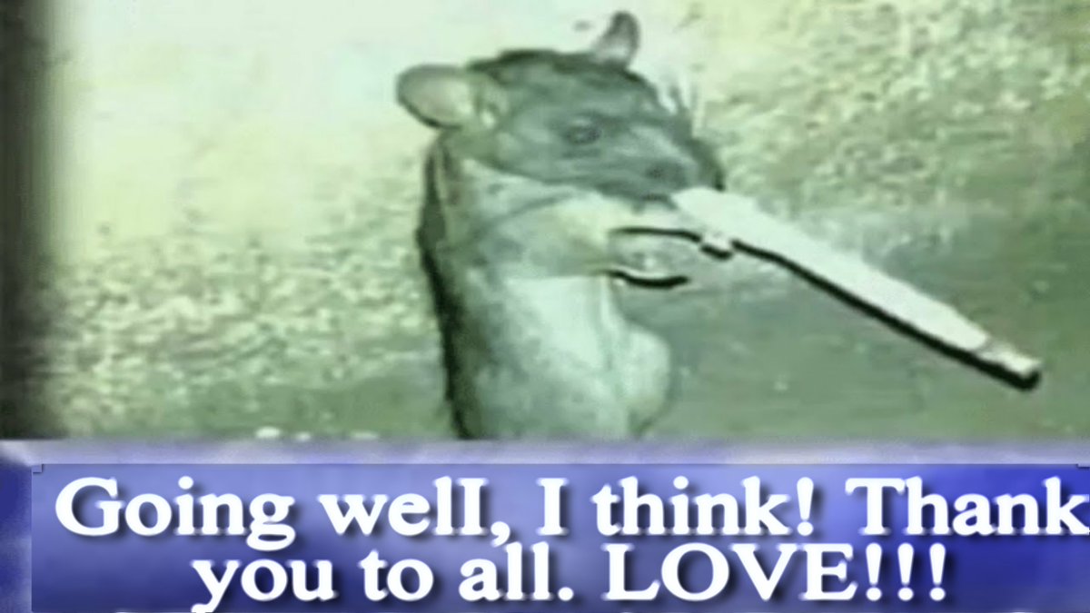 PepsieSpicie's tweet image. 