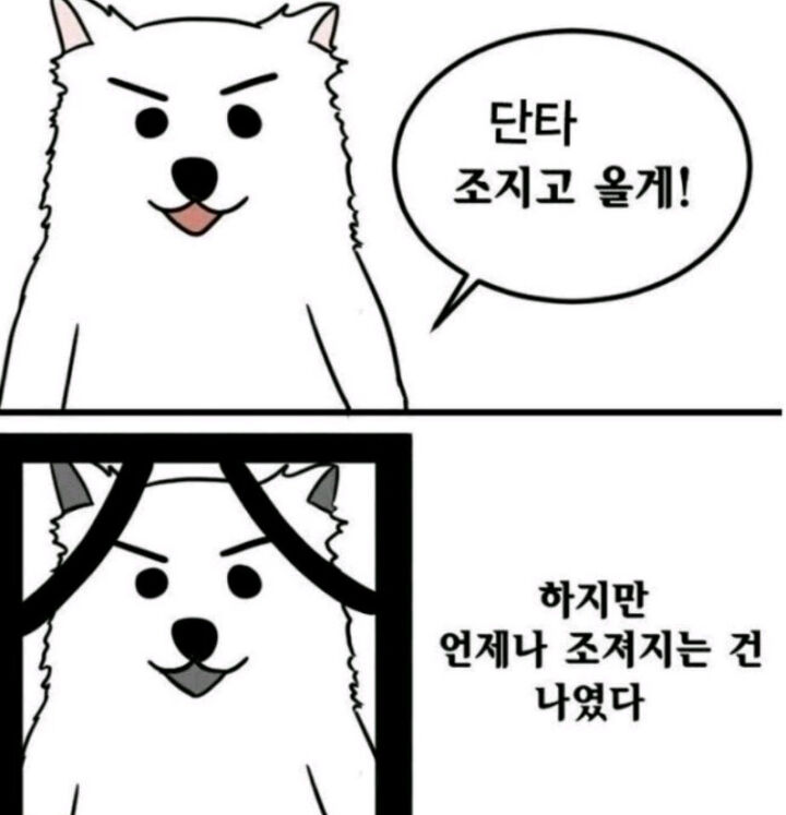 Dam3_Dan3's tweet photo. 아직 미네라는 캐릭터는 모르지만 다이고를 엄청 좋아해주고 밥 잘주고 주식떡락하면 날아갈것 같은 이미지...
약간 언제나 조져지는 것은 미네의 주식이었다 느낌.... https://t.co/B4UJDn8ZO7