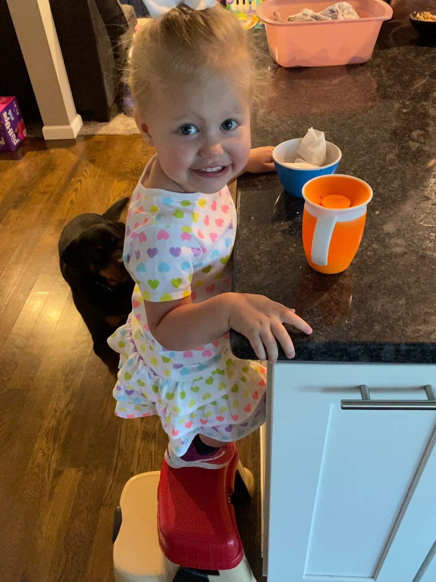 TylerWTCGWorld's tweet photo. Don't let her cuteness fool you, this baby dragon is ready to dominate the day! Let's spead the word about this new streaming platform dragons! @JonBiscuits @Roe1175 @electron_07 @cryptoBatmanBSC @CryptoBuddha13 #ow #owg #owgaming #BSCGems @owgamingco #cryptocurrency https://t.co/YXJ3YqbYM4