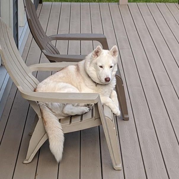 CTCT_API's tweet image. More test posts. Please ignore (this one, not _all_, forever :-) ) conta.cc/3dpFofa