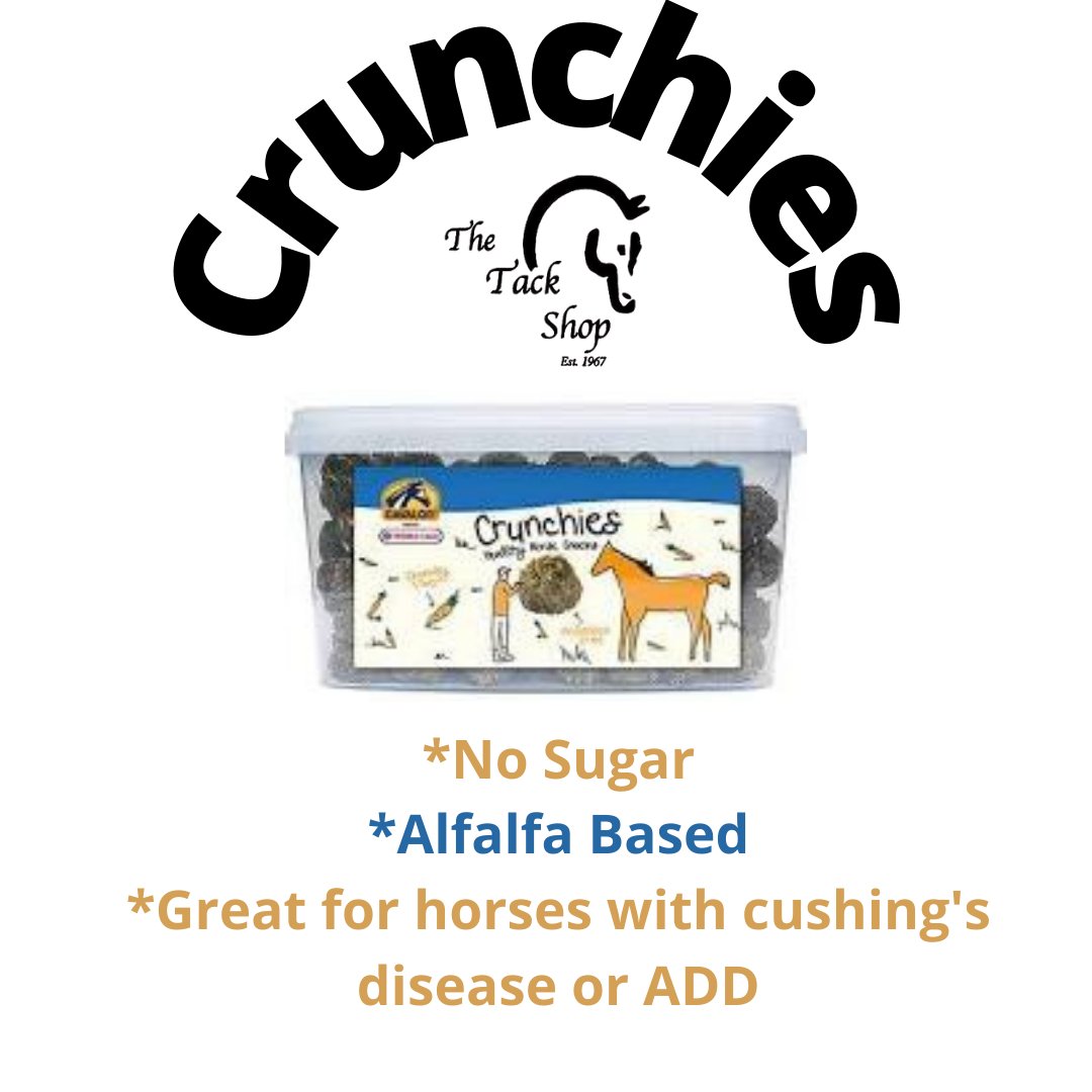 thetackshop's tweet photo. These tasty treats are not only yummy for your horse, but are not bad for them! https://t.co/TSW1Q5ITWp