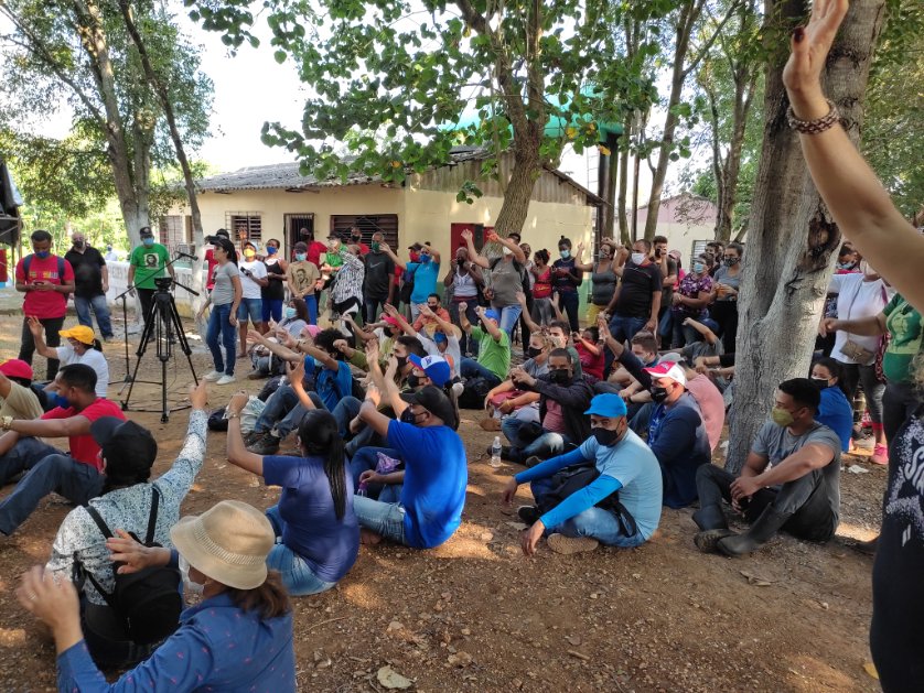 quimicacujae's tweet photo. La juventud habanera saluda el 
26-07 ❤️🖤 trabajando en las cooperativas de producción agropecuaria de la ciudad en compañía de @DiazCanelB y @MMarreroCruz. 
.
¡Esa es Cuba Socialista!
.
La Revolución se defiende desde el surco 🥬🥦 https://t.co/XGGUM3vn1A