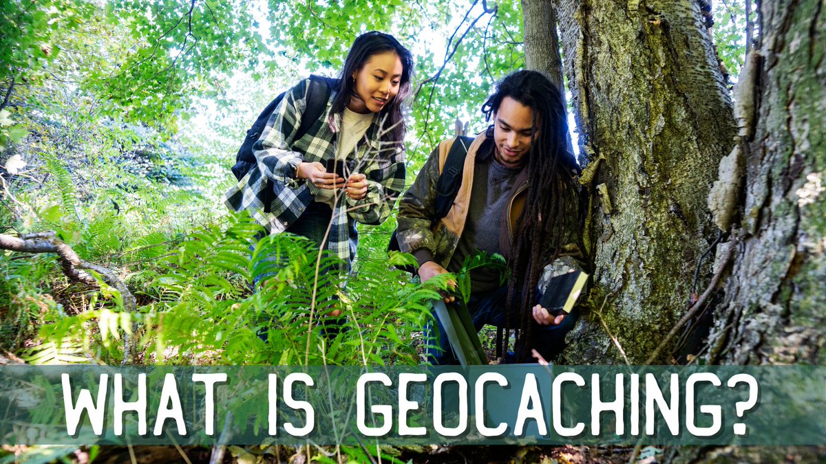 Southern Victoria, NB tweet media