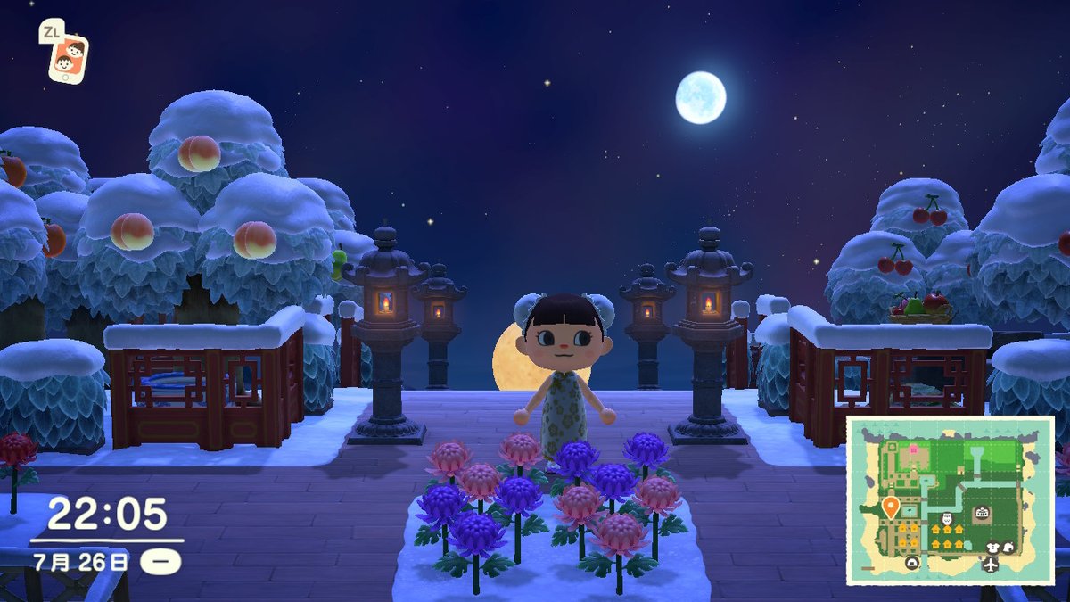 hq466's tweet photo. #动物森友会 #AnimalCrossing #ACNH #NintendoSwitch https://t.co/XexXTtNmw7