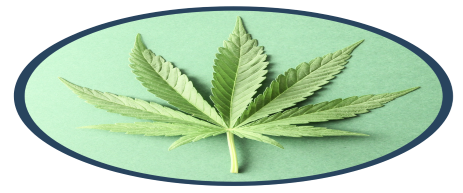 ACFER01's tweet image. #AyrWellness OTCQX : $AYRFW a #verticallyintegrated #cannabis operator with a footprint in 7 key states and a focus on Florida with 36 dispensaries in the state. ~MCAP USD 1.5bn, ~▲30% m/m, ~▲60 % since 4th Dec 20 IPO. #ACFView bit.ly/3h3GMIr #marijuana @AyrWellness