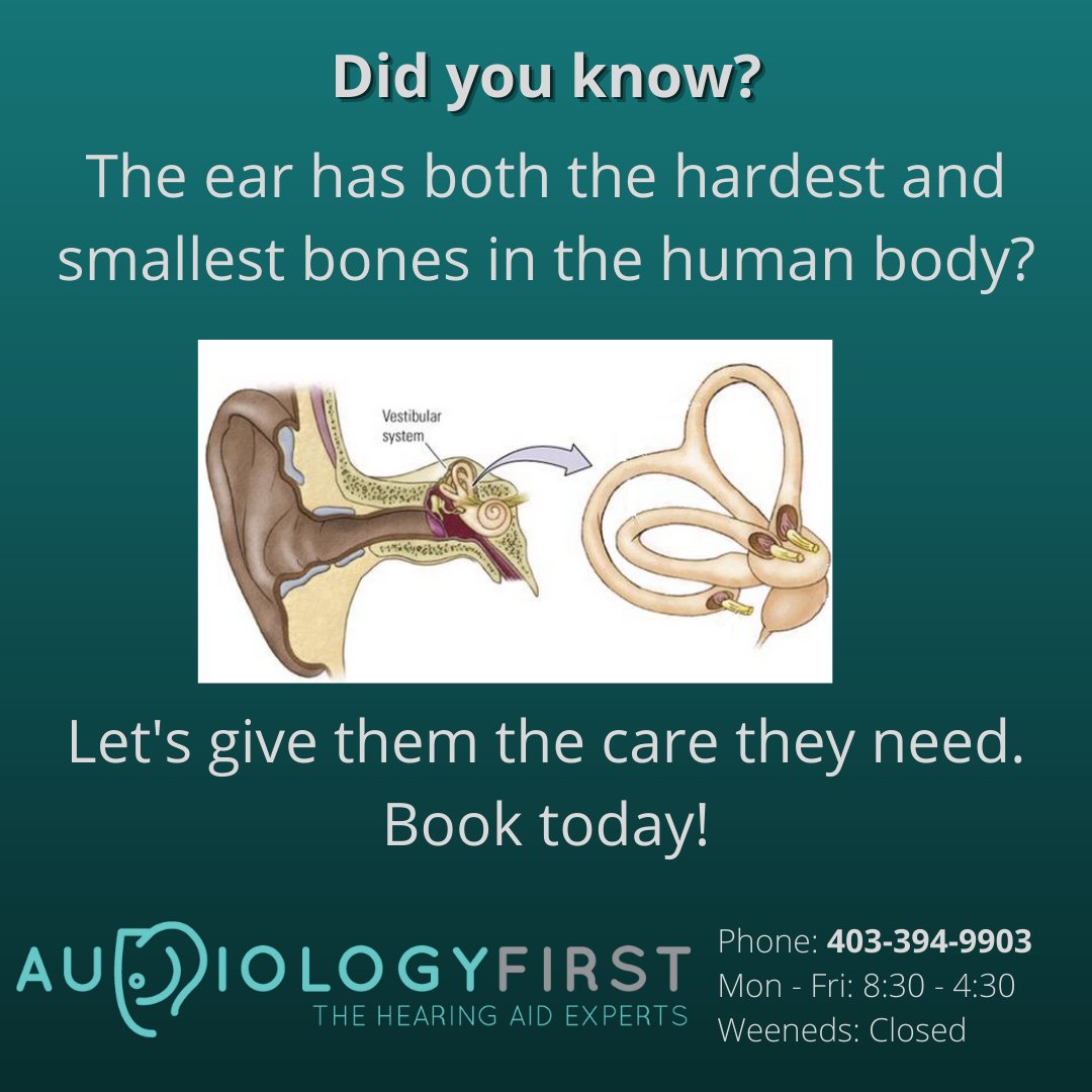 Audiology First tweet media
