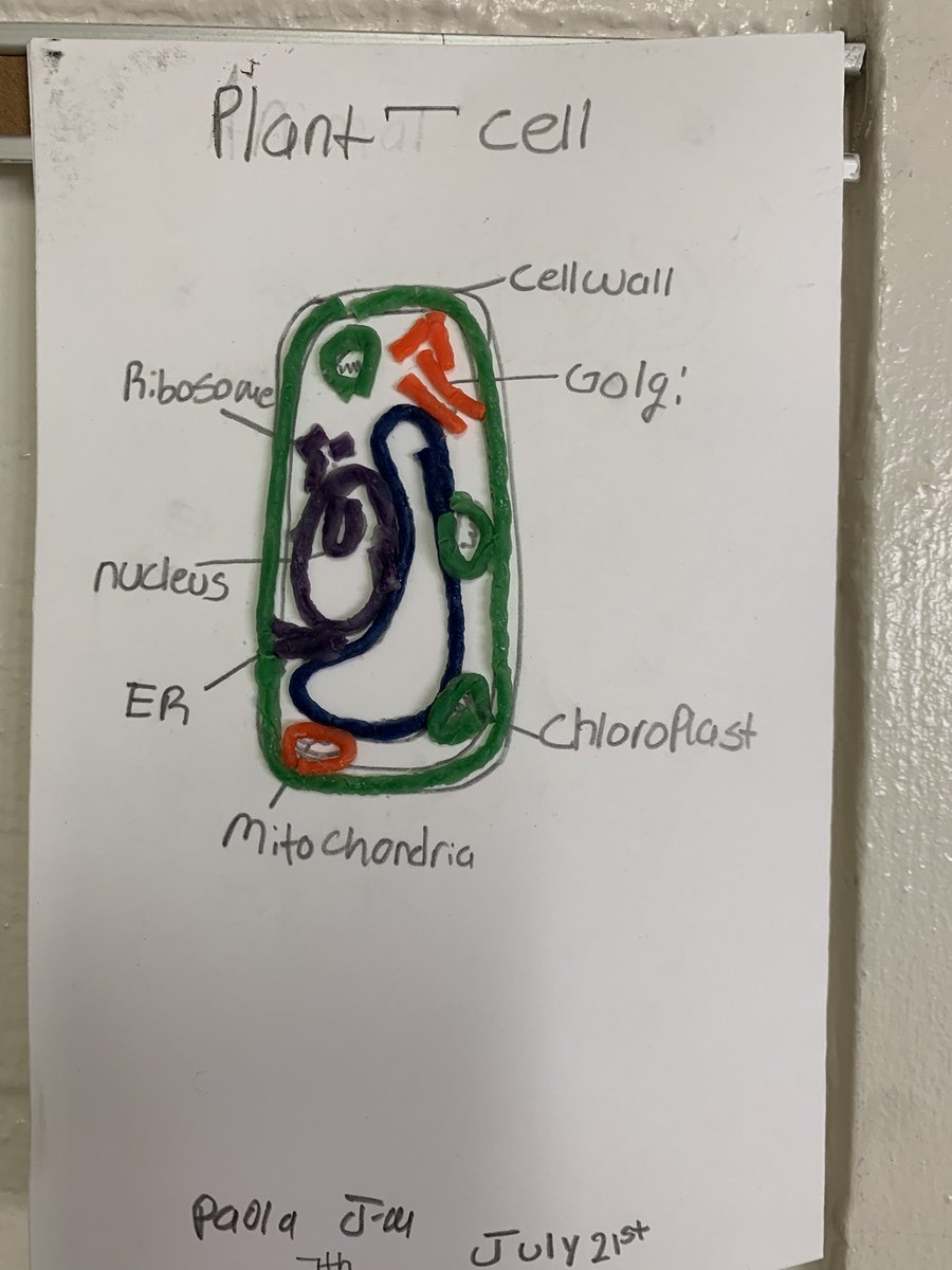 BraxtonMcLaurin's tweet image. MMES RISE! Middle School learn about sustainability and plant cells with Ms. Braddy, the Science Lady!!! #CCSRISE2021! @nicholem2015
