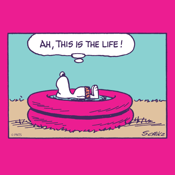 Snoopy's tweet photo. Pool day every day. https://t.co/wBz0Q04vey