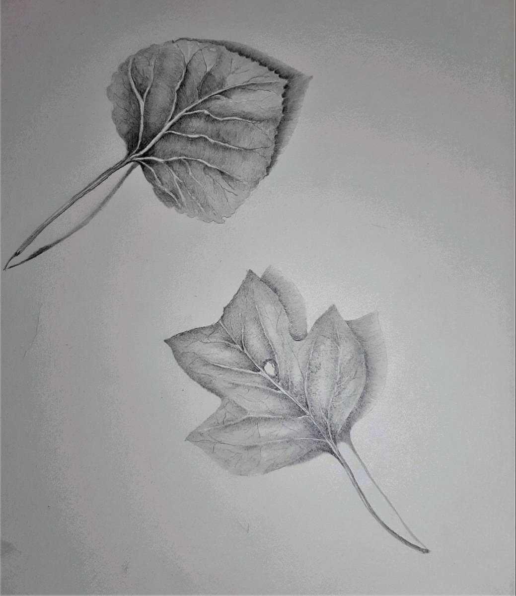 N. Fontaine tweet media