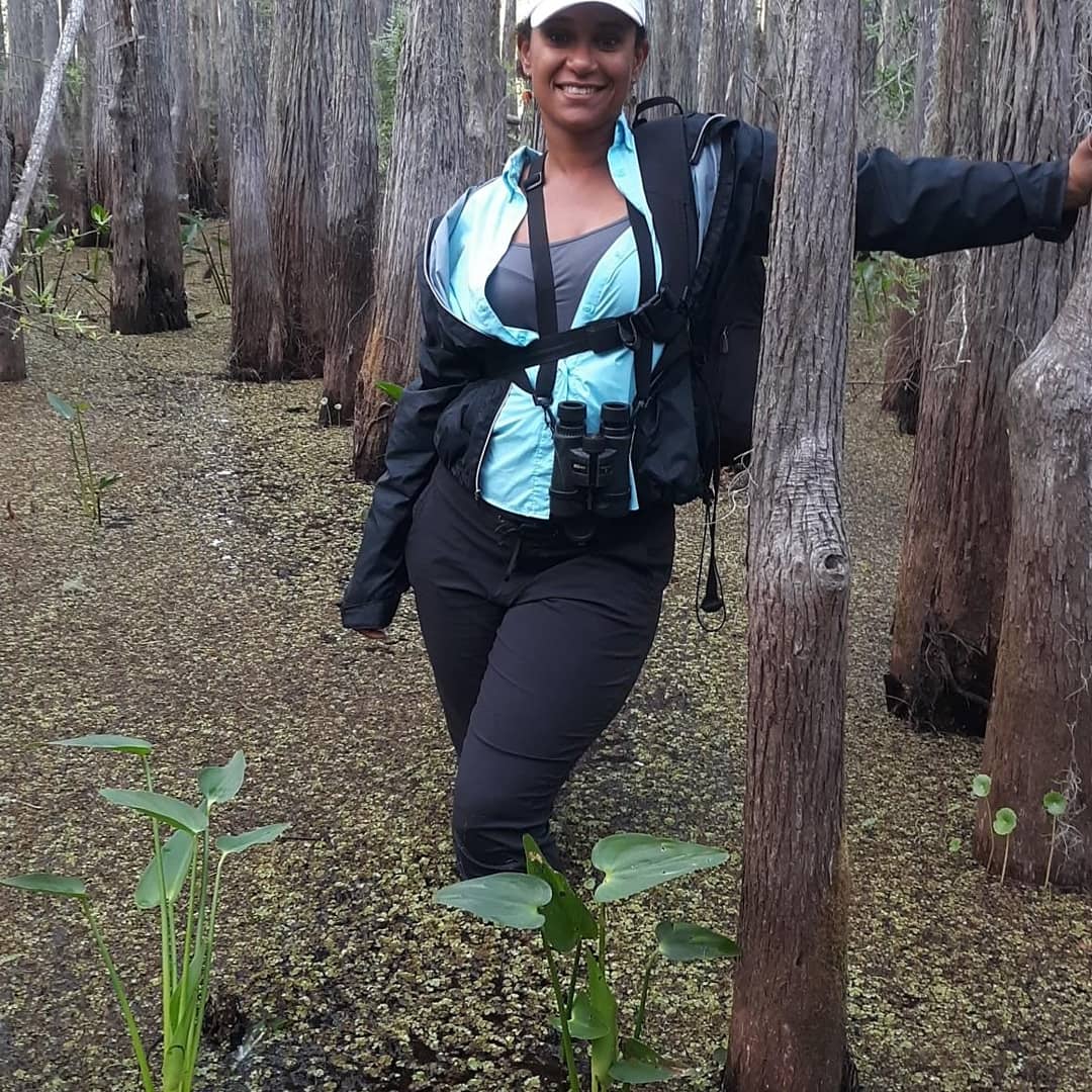 N. Fontaine tweet media