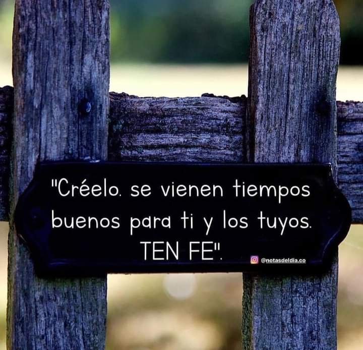 Literat (@literartee) on Twitter photo 