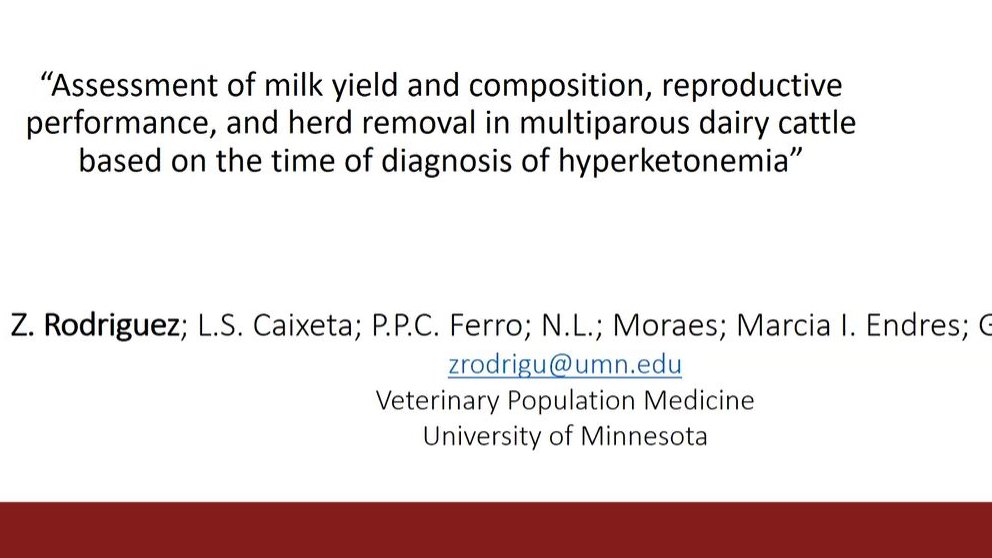 Zelmar Rodriguez @ZelmarRod Phd. student <a href="/umnCVM/">UMN College Veterinary Medicine</a> shared research findings at <a href="/ADSAorg/">ADSA</a> meeting z.umn.edu/ADSA21