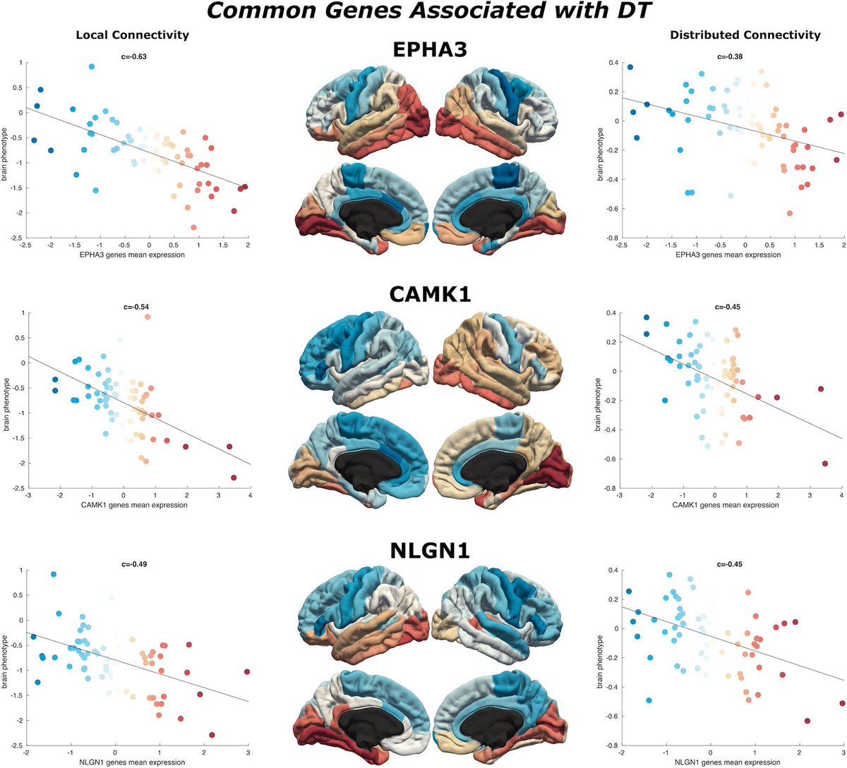 Eli Bueicheku (@neuroeli) on Twitter photo Congratulations Will and all the co-authors on our latest publication: "Cortical Networks of Creative Ability Trace Gene Expression Profiles of Synaptic Plasticity in the Human Brain" frontiersin.org/article/10.338… #neuroimaging #creativity <a href="/will_orwig/">Will Orwig</a> <a href="/SepulcreLab/">Jorge Sepulcre Lab</a> <a href="/MGHGordon/">Gordon Center for Medical Imaging</a> Congratulations Will and all the co-authors on our latest publication: "Cortical Networks of Creative Ability Trace Gene Expression Profiles of Synaptic Plasticity in the Human Brain" frontiersin.org/article/10.338… #neuroimaging #creativity <a href="/will_orwig/">Will Orwig</a> <a href="/SepulcreLab/">Jorge Sepulcre Lab</a> <a href="/MGHGordon/">Gordon Center for Medical Imaging</a>