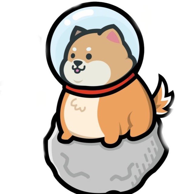 Almercyyy's tweet photo. @1goonrich BIG SHIBA #BSHIB

NEW 100x GEM STEALTH LAUNCH

6k Market Cap

Marketing will start soon

https://t.co/ELAjwrHy8J https://t.co/sfK6OdIG71