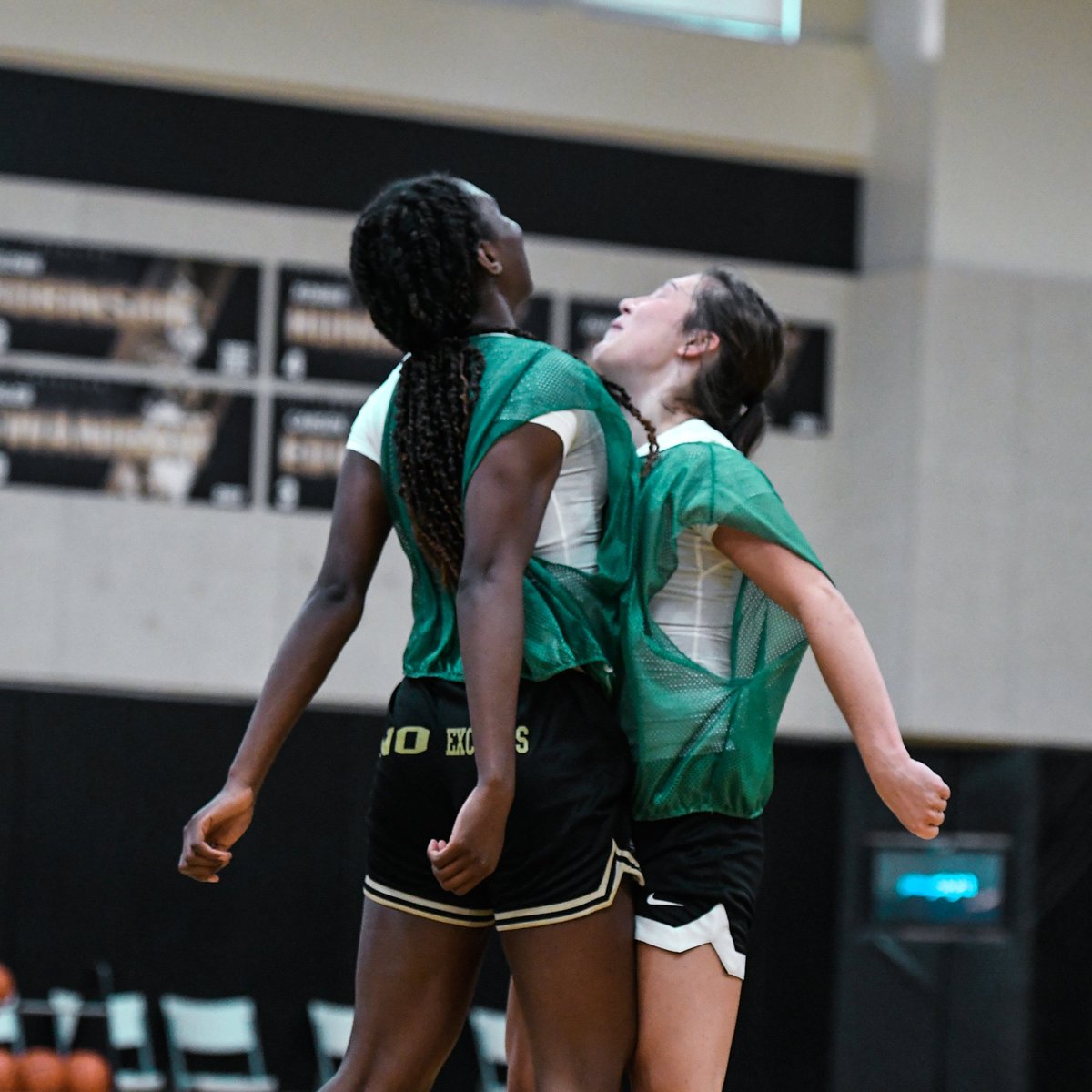 Sharon Versyp (@coachversyp) on Twitter photo Great workout today! A lot of energy from this group! #BoilerUp Great workout today! A lot of energy from this group! #BoilerUp